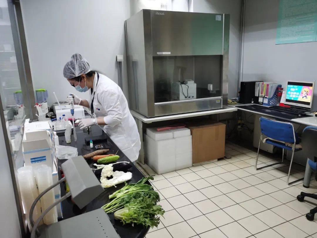 平舆食品检测实验室装修方案